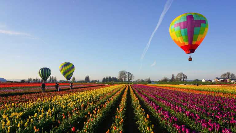 Ballonfahrt – Motiv des Buchungsanbieters